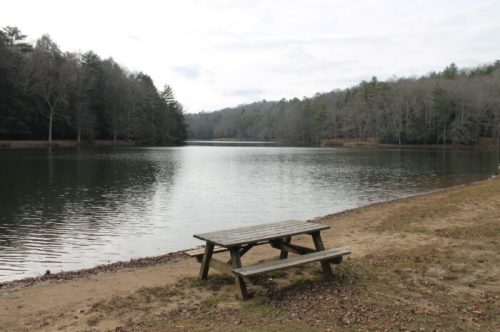 A serene lake surrounded by trees, with a wooden picnic table on the sandy shore. Overcast sky in the background.