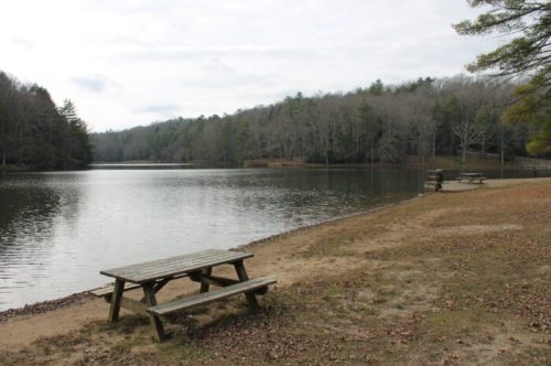 A calm lake surrounded by trees, with a picnic table on the shore and a sandy area in the foreground.