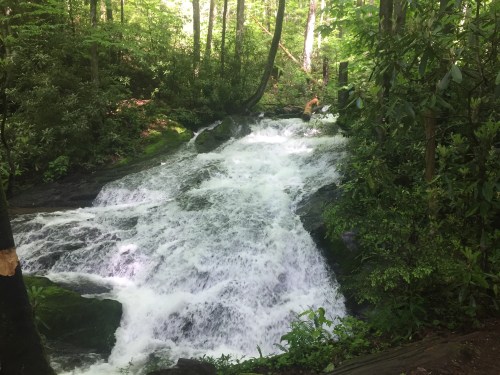 A cascading waterfall flows over rocks, surrounded by lush green trees and foliage in a serene forest setting.