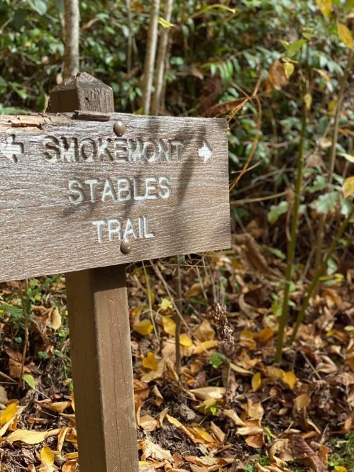 Wooden signpost indicating directions to "Smokemont" and "Stables Trail" amidst a forested area with fallen leaves.