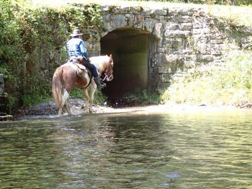 A person on horseback wades through shallow water near a stone tunnel entrance surrounded by greenery.