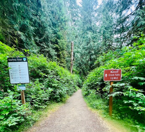 A narrow trail surrounded by lush greenery, with signs directing to Munson Creek Falls and a courtesy guide.
