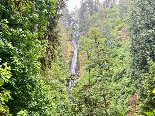 A cascading waterfall surrounded by lush green trees and foliage in a forested area.