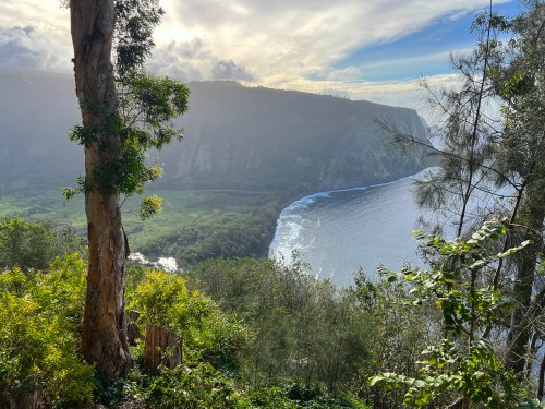 A scenic view of a coastline with cliffs, lush greenery, and a calm ocean under a partly cloudy sky.