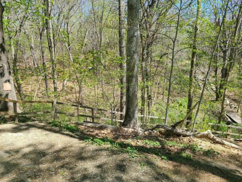 A wooded area with trees and a gravel path, featuring a wooden fence and green foliage under a clear blue sky.