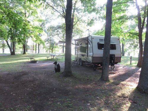 A camper parked in a wooded area with picnic tables nearby and a dog sitting on the ground.