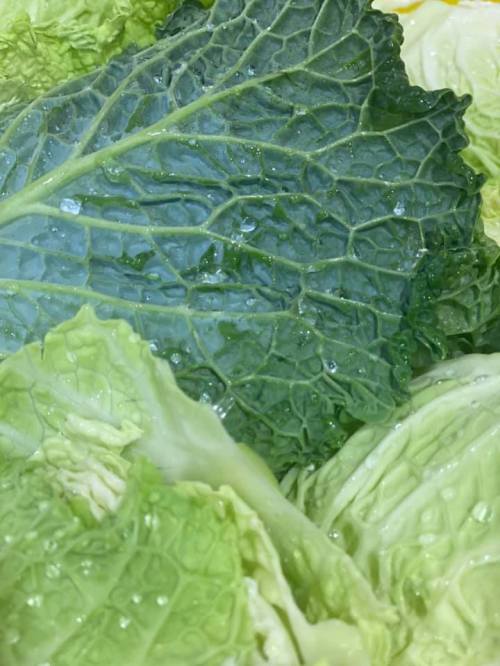 Close-up of fresh, green cabbage leaves with water droplets on the surface.
