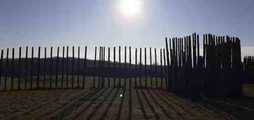 Silhouetted wooden posts against a bright sun, casting long shadows on a grassy field.