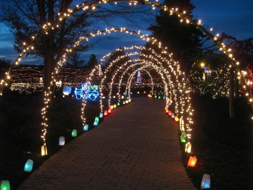 A pathway illuminated by colorful lights and arches of twinkling fairy lights, creating a festive atmosphere at dusk.