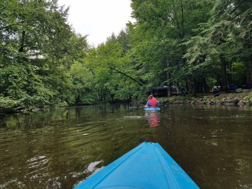 A person in a kayak paddles through a calm, tree-lined river surrounded by lush greenery.
