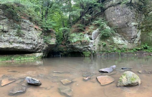 A serene forest scene featuring a rocky landscape and calm water reflecting the surrounding greenery.
