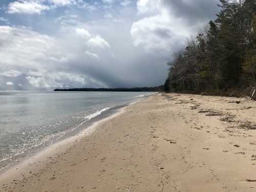 A sandy beach stretches along a calm lake, with trees lining the shore under a cloudy sky.