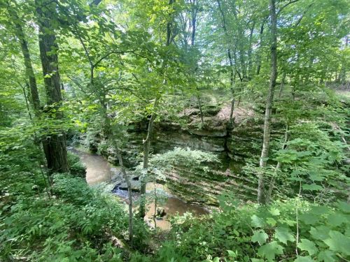 Lush green forest with a rocky cliff and a small stream flowing through the landscape.