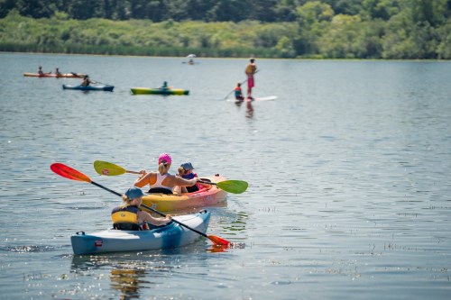 A group of people kayaking on a calm lake surrounded by greenery on a sunny day.