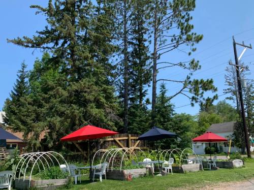 Outdoor seating area with red and black umbrellas, surrounded by trees and garden beds under a clear blue sky.