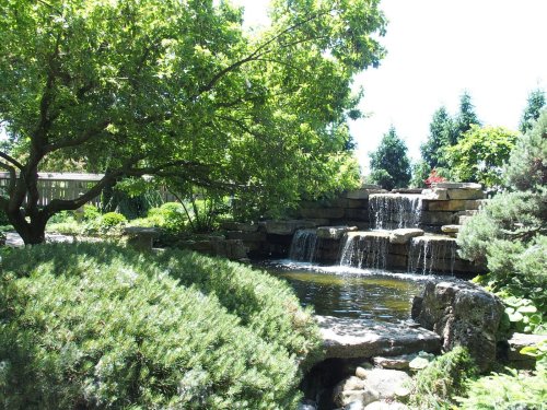 A serene garden scene featuring a waterfall cascading over rocks into a pond, surrounded by lush greenery and trees.