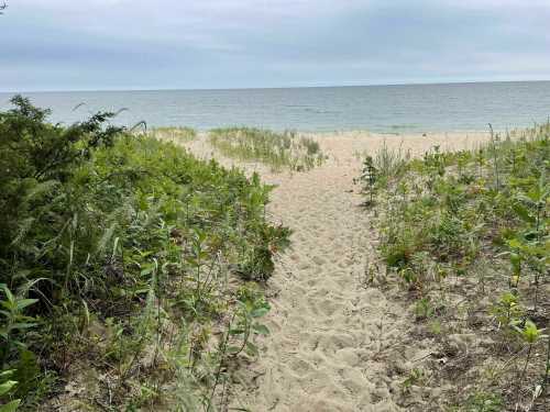 A sandy path leads through greenery to a calm beach and ocean under a cloudy sky.