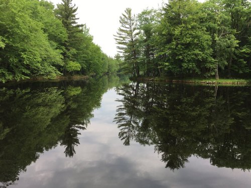 A serene river scene with lush green trees reflecting on calm water under a cloudy sky.