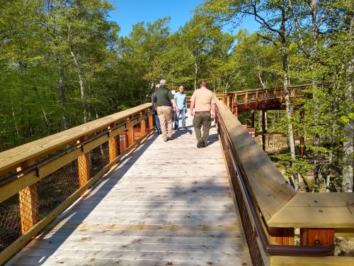 A wooden walkway in a forest with people walking, surrounded by green trees and a clear blue sky.