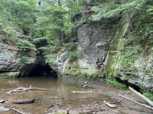 A serene forest scene featuring rocky cliffs, a calm water pool, and scattered logs, surrounded by lush greenery.
