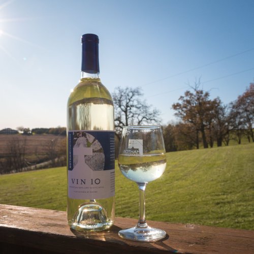 A bottle of white wine labeled "VIN 10" next to a glass of wine, set against a sunny outdoor landscape.