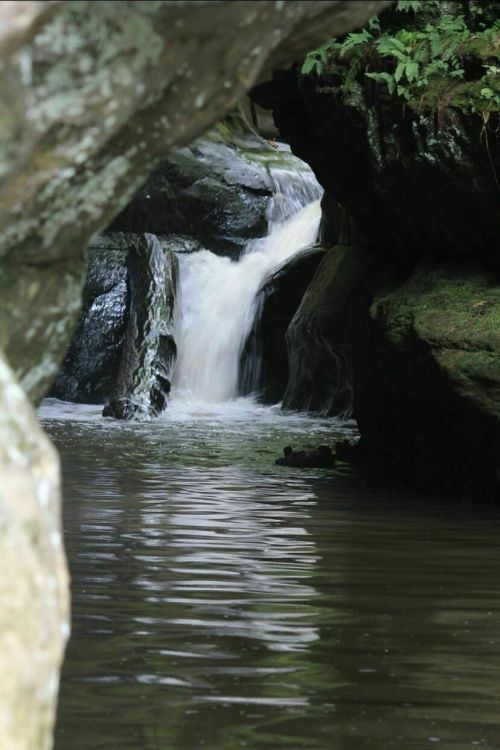 A serene waterfall cascades over rocks into a calm pool, framed by lush greenery and stone formations.