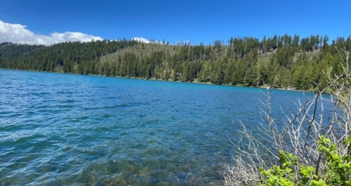 A serene lake surrounded by lush green trees under a clear blue sky.
