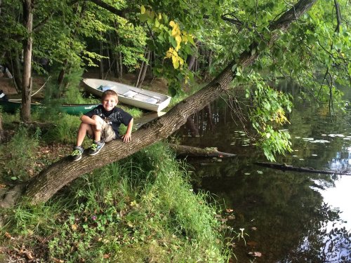 A smiling boy sits on a tree branch by a calm river, with boats and greenery in the background.