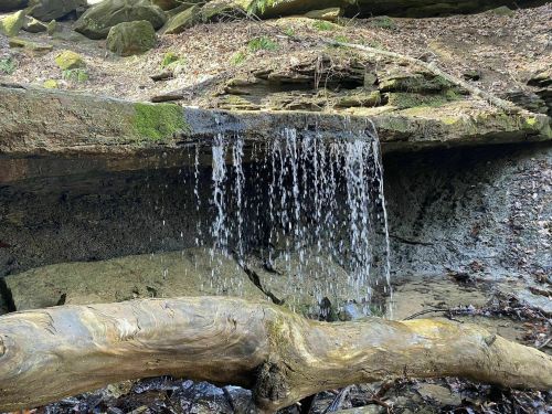 A small waterfall cascades over a rocky ledge, surrounded by moss and fallen leaves in a natural setting.