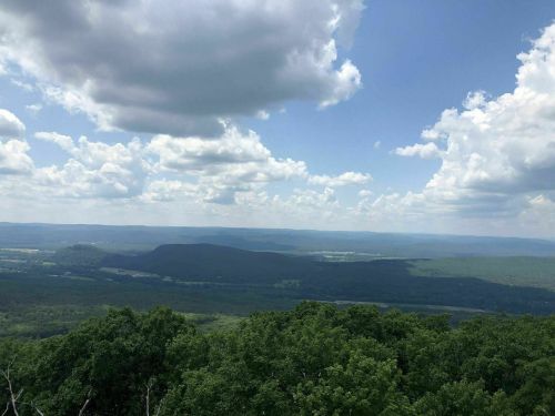 A panoramic view of rolling green hills under a blue sky filled with fluffy white clouds.