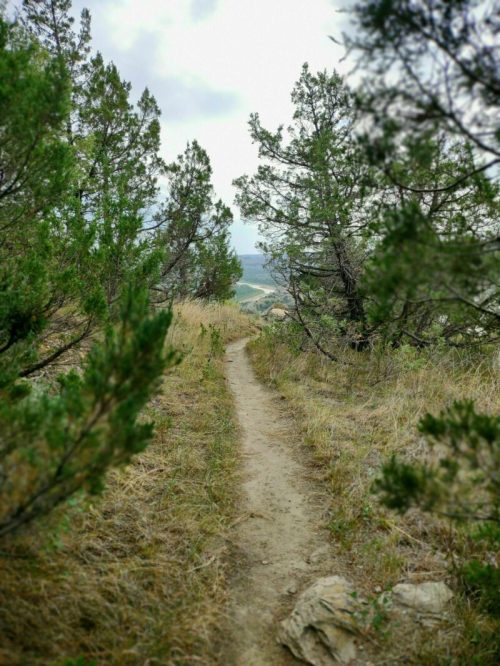 A narrow dirt path winds through tall grass and trees, leading into a scenic landscape under a cloudy sky.
