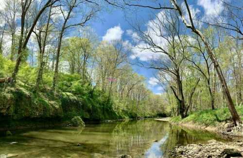 A serene river flows through a lush, green landscape with trees and a bright blue sky dotted with clouds.