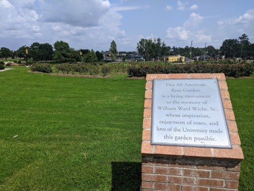 A brick plaque in a garden honors William Ward Wicht, Sr., surrounded by green grass and rose bushes.