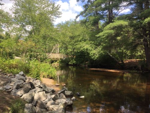 A serene river scene with lush greenery, a stone bank, and a wooden bridge in the background under a blue sky.