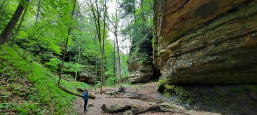 A person stands in a lush green forest, surrounded by tall trees and rocky cliffs, with a serene, natural landscape.