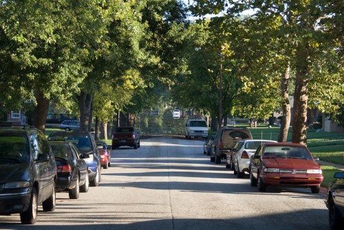 A tree-lined street with parked cars on both sides and a glimpse of water at the end of the road.