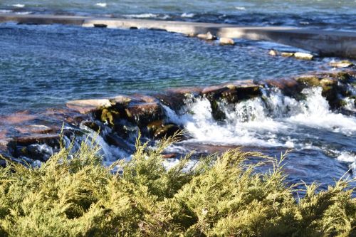 A serene river scene with flowing water over rocks, framed by lush green foliage in the foreground.