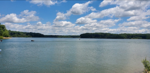 A serene lake surrounded by lush greenery and fluffy clouds in a bright blue sky.