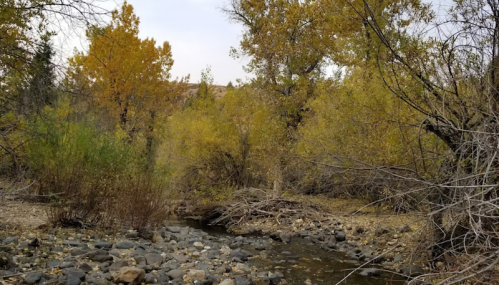 A serene stream flows through a landscape of autumn trees with golden leaves and rocky banks.