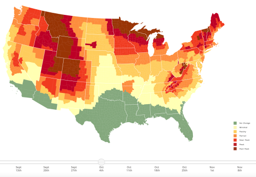 Map of the U.S. showing fall foliage progression from September to November, with color-coded regions for leaf change.