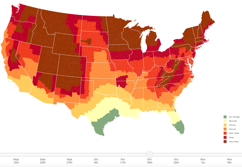 Map of the U.S. showing varying levels of change in a specific metric over time, with color gradients indicating intensity.