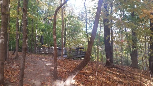 A serene forest scene with colorful autumn leaves and a wooden deck surrounded by trees.