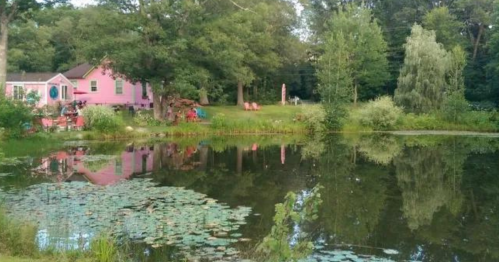 A serene pond reflects a pink house and surrounding greenery, with lily pads floating on the water's surface.
