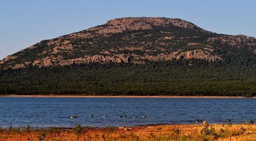 A serene lake with a mountain in the background, featuring a line of ducks swimming near the shore.