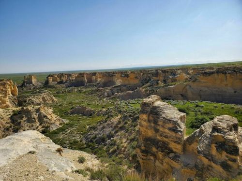 A panoramic view of a rugged canyon landscape with rocky cliffs and green vegetation under a clear blue sky.
