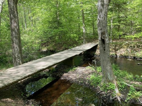 A wooden bridge spans a small stream in a lush green forest, surrounded by trees and vibrant foliage.