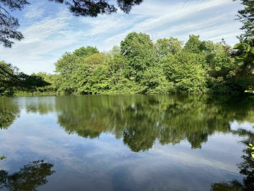 A serene lake surrounded by lush green trees, reflecting the blue sky and clouds above.