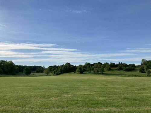 A wide, open green field under a clear blue sky, with trees lining the horizon in the background.