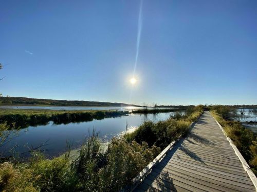 A wooden boardwalk stretches alongside a calm waterway under a bright sun and clear blue sky.