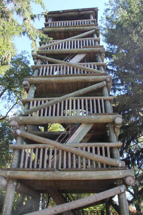 A tall wooden observation tower surrounded by trees, featuring multiple levels and a rustic design.